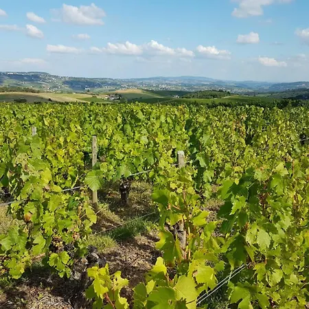 Bed & Breakfast D'hotes Des 17 Clochers - 3*